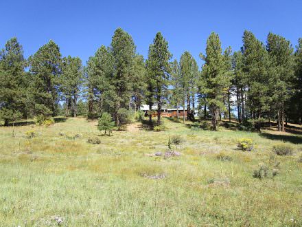 Lot 46 Blue Spruce Lane, Taos NM 87571