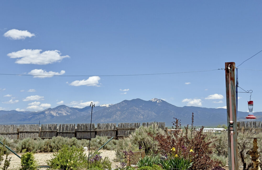 31 Cactus Flower Road, Ranchos de Taos NM 87557