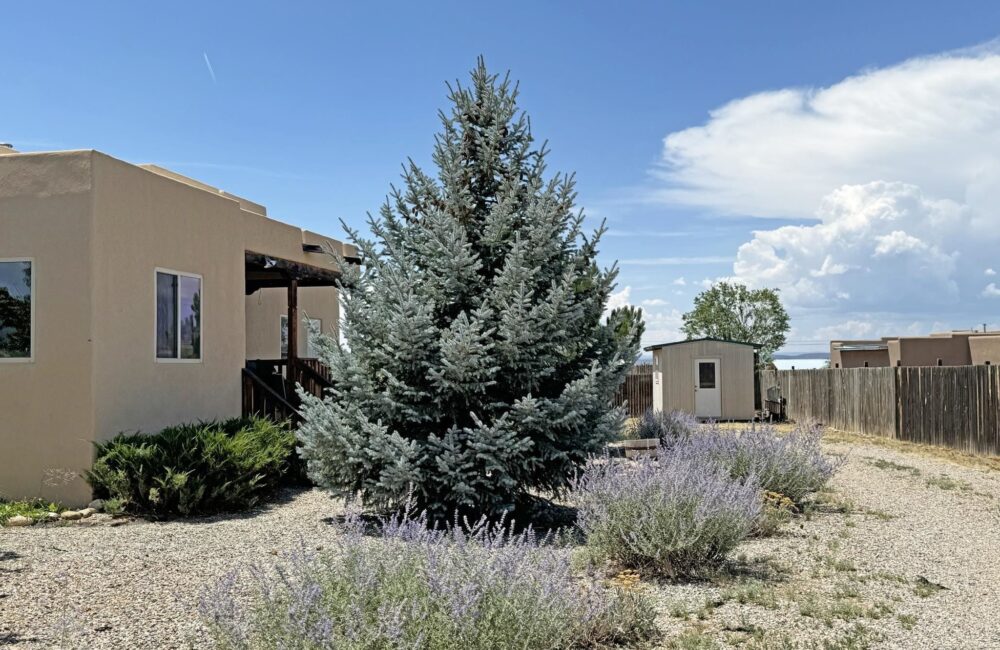 13C Calle Trujillo, Ranchos de Taos, NM 87557