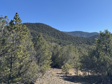 Tract 4 Verde Road, Taos NM 87571