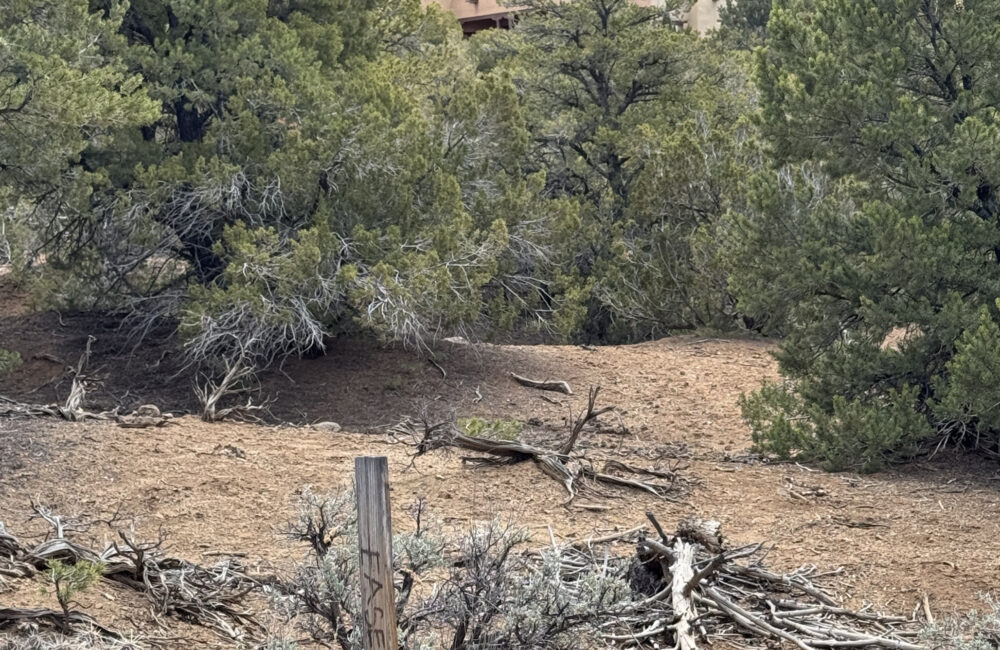 Tract 4 Verde Road, Taos NM 87571