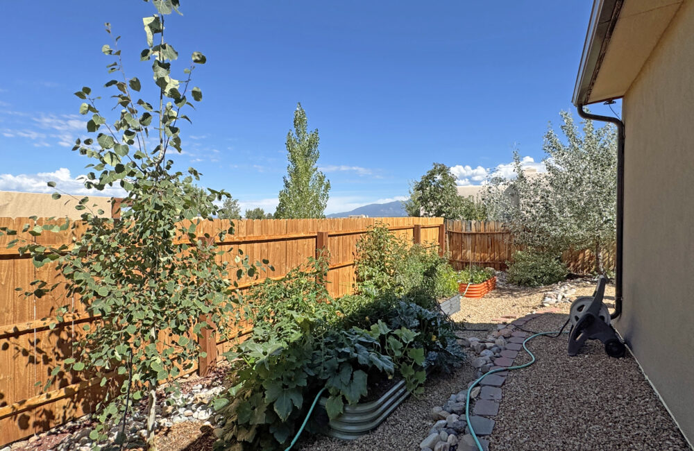 213 Las Olas Drive, Taos NM 87571