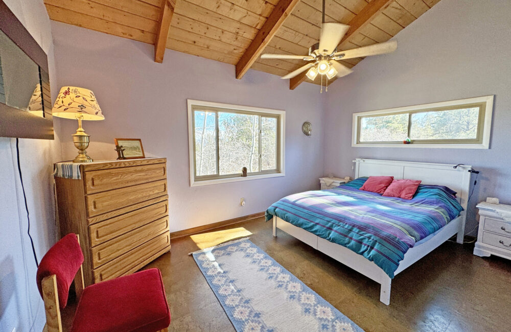 81 Forest Rd 222, Tres Piedras NM 87577