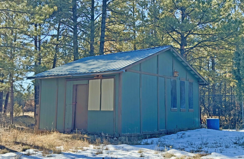 81 Forest Rd 222, Tres Piedras NM 87577