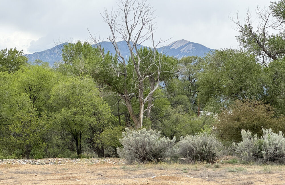 Lot 12 Los Pandos Estates, Taos NM 87571