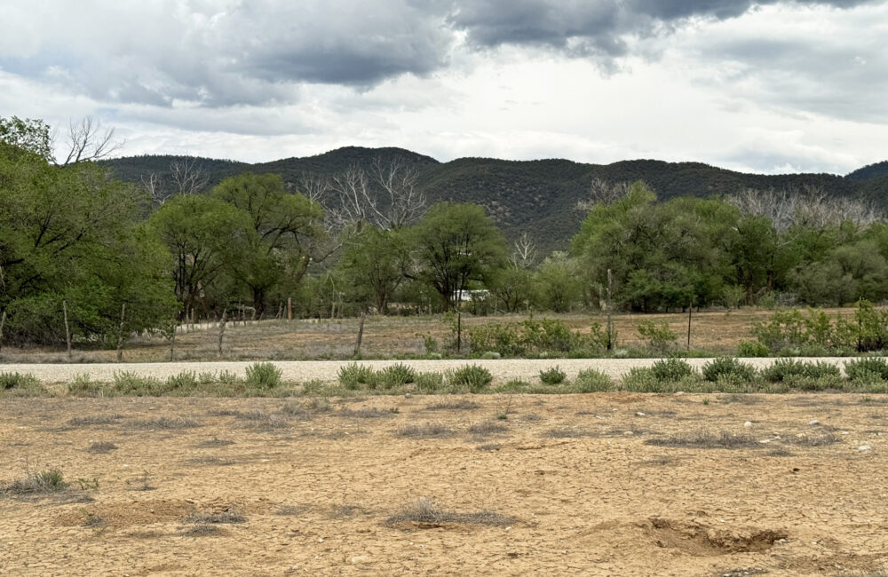 Lot 12 Los Pandos Estates, Taos NM 87571